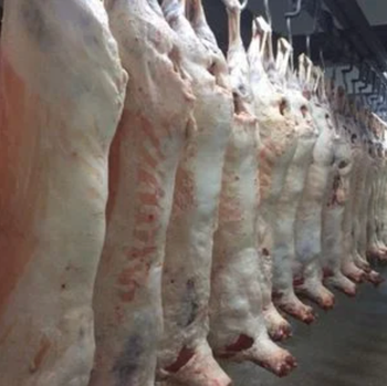 Chilled Lamb and Mutton - plugteqventures - Kenya
